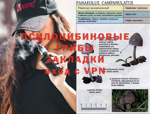 мдпв Коряжма