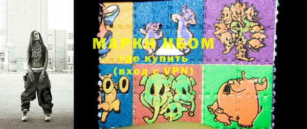 мдпв Коряжма